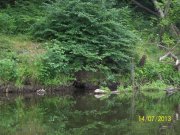 100_4081_thumb.jpg