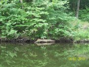 100_4082_thumb.jpg