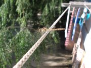DSCF5873.JPG