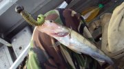 DSC05472.JPG