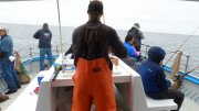 SAM_1046.JPG