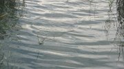 IMG_1709.jpg