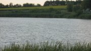 IMG_1708.jpg