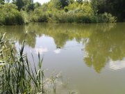 DSC08474.JPG