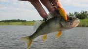 IMG_1716.jpg