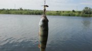 IMG_1717.jpg