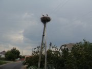 DSC00174.JPG