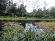 DSC00215.JPG