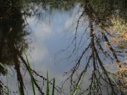 DSC00220.JPG