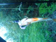 DSC01753.JPG