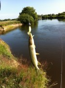 IMG_0195.JPG