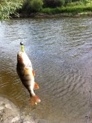 IMG_0197.JPG