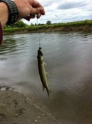 IMG_0198.JPG