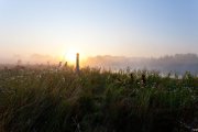 IMG_1090.jpg
