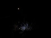 DSC00272.JPG