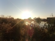 DSC00288.JPG