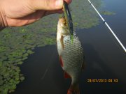 IMG_0649.JPG