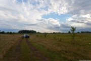 IMG_1126.jpg