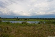 IMG_1123_1.jpg