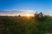 IMG_1169_2.jpg