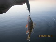 IMG_0658.JPG