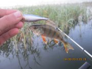 IMG_0659.JPG