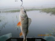 IMG_0660.JPG