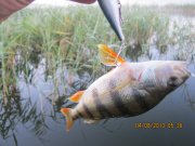 IMG_0662.JPG