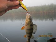 IMG_0663.JPG