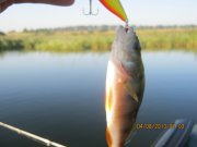 IMG_0664.JPG