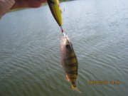 IMG_0667.JPG