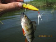 IMG_0668.JPG