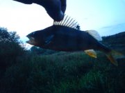 DSC01759.JPG