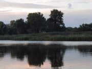 IMG_2303_resize.jpg