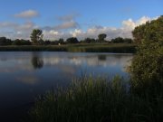 IMG_2308_resize.jpg