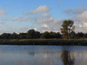 IMG_2310_resize.jpg