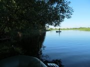 IMG_1174.JPG