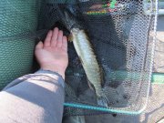 IMG_1183.JPG
