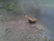 IMG_20130803_052445.jpg
