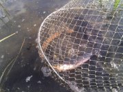 IMG_20130803_090637.jpg