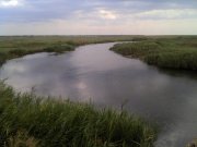 IMG_20130803_112715.jpg