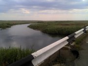 IMG_20130803_112733.jpg