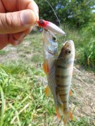 DSC01353.JPG