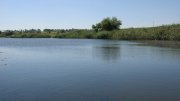 IMG_1741.jpg
