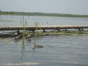 DSC03314.JPG
