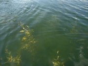 DSC03316.JPG