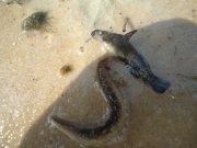 DSC03452.JPG