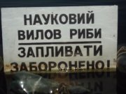 DSC03730.JPG