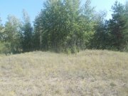 DSCN1718.jpg