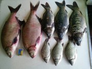 20130811_111612.jpg